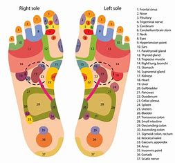 Reflexology